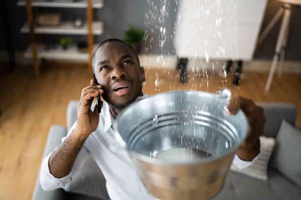 Best Flood restoration services  in Clifton Springs, NY