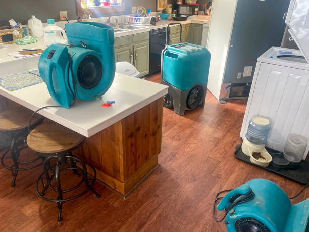 Best 24-hour water damage restoration  in Clifton Springs, NY
