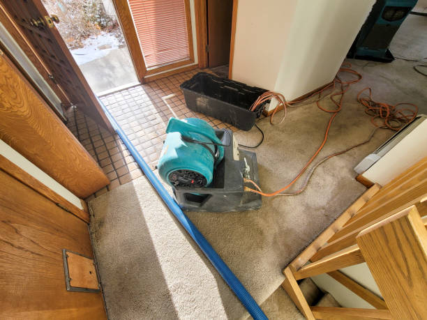 Best Water damage cleanup near me  in Clifton Springs, NY