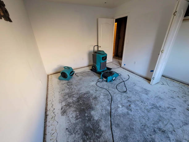 Best Water damage restoration near me  in Clifton Springs, NY