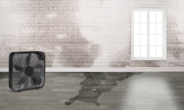 Best Fire Damage Restoration  in Clifton Springs, NY