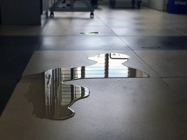 Best Professional water damage repair  in Clifton Springs, NY