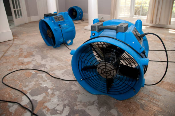 Best Water damage restoration near me  in Clifton Springs, NY
