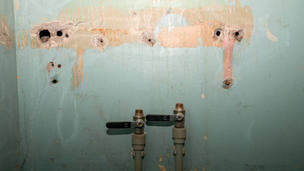  Clifton Springs, NY Water damage restoration Pros