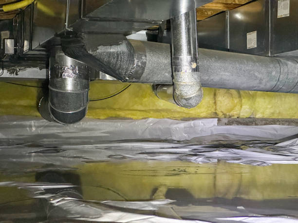 Best Water damage restoration near me  in Clifton Springs, NY