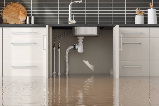 Best Water damage contractors near me  in Clifton Springs, NY