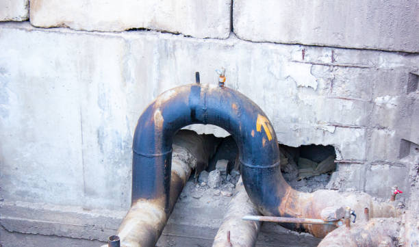 Best Professional water damage repair  in Clifton Springs, NY