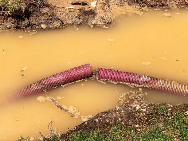 Best Residential water damage restoration  in Clifton Springs, NY