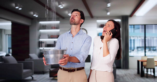 Best Local water damage restoration  in Clifton Springs, NY